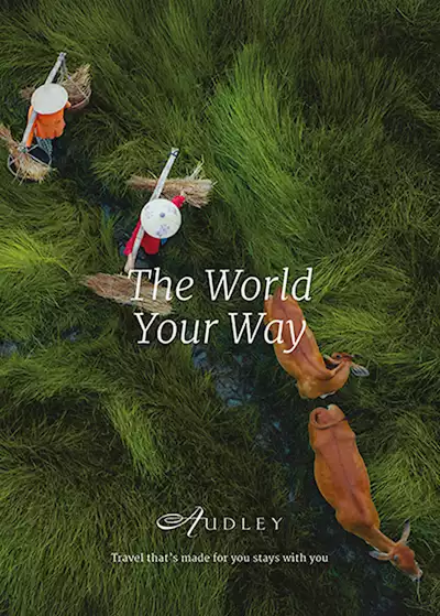 Request Brochure