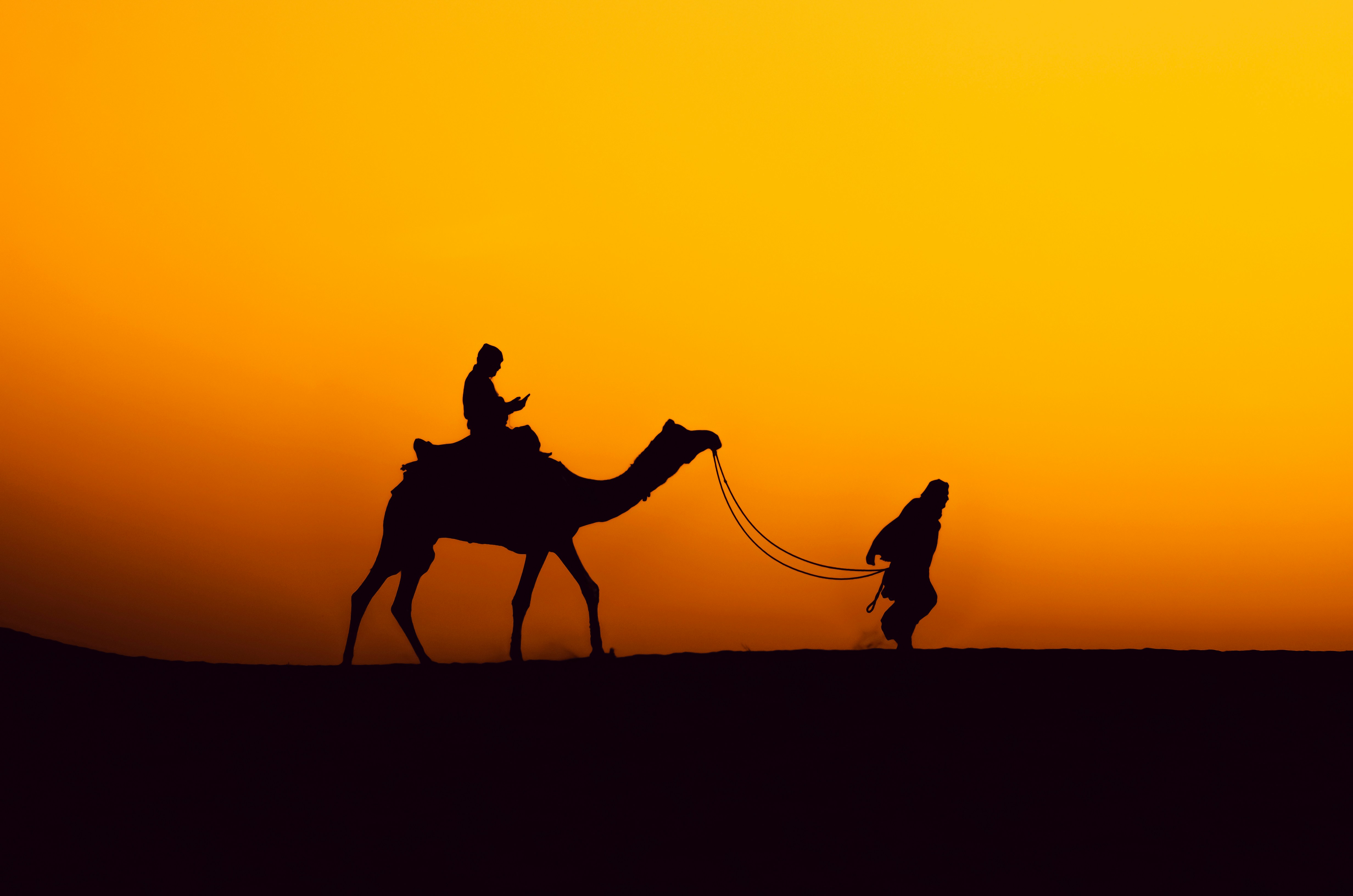 Camel Safari in the Thar Desert